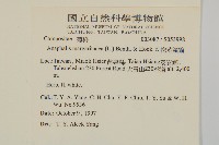 抱莖籟簫藏品圖，第2張