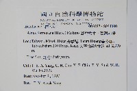 臺灣赤楊、臺灣榿木藏品圖，第2張