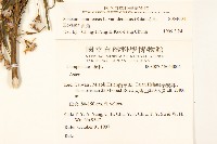 黃菀藏品圖，第2張