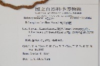 穗花蛇菰藏品圖，第2張