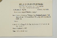 刺果衛矛藏品圖，第2張