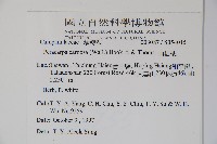 山桔梗藏品圖，第2張
