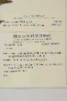 南艾蒿藏品圖，第2張