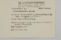 藜、灰藜藏品圖，第2張