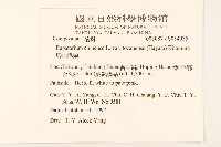 塔山澤蘭藏品圖，第2張