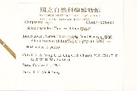 蔓黃菀藏品圖，第2張