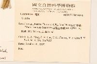 臺灣福王草藏品圖，第2張