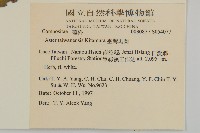 臺灣馬蘭藏品圖，第2張