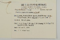 玉山石竹藏品圖，第2張