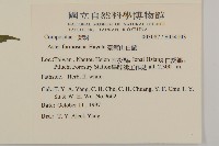 臺灣山白蘭藏品圖，第2張