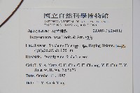 酸藤藏品圖，第2張