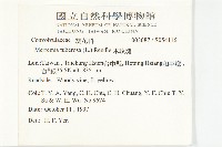 姬旋花、木玫瑰藏品圖，第5張