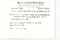 裂葉艾納香藏品圖，第5張