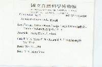 霍香薊藏品圖，第2張