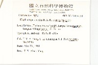 地膽草、毛蓮菜藏品圖，第2張