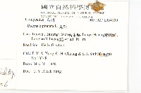 大花咸豐草藏品圖，第2張