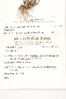 匙葉鼠麴草藏品圖，第2張