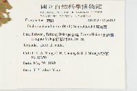 茯苓菜藏品圖，第2張