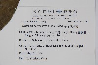 多子漿果莧藏品圖，第2張