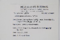 狗尾草藏品圖，第5張