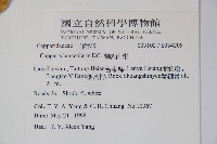 蘭嶼山柑藏品圖，第2張