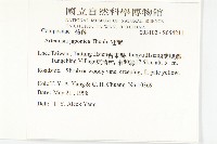 牡蒿藏品圖，第5張