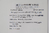 直立半插花藏品圖，第2張