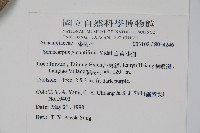 臺東漆樹藏品圖，第2張