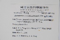 恆春半插花藏品圖，第2張