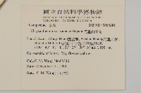 阿里山油菊藏品圖，第2張