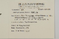 臺灣馬蘭藏品圖，第2張