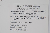 臺灣附地草藏品圖，第2張