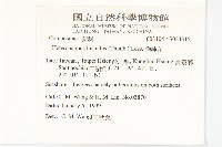 狗娃花藏品圖，第2張