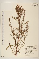 登錄號:S054327藏品圖，第1張