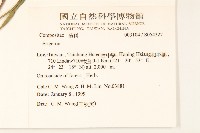 登錄號:S054327藏品圖，第2張