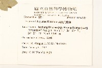 福山氏飛蓬藏品圖，第2張