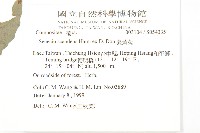 蔓黃菀藏品圖，第2張