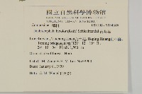 茯苓菜藏品圖，第2張