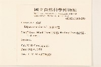 加拿大蓬藏品圖，第2張