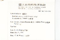 馬鞍藤藏品圖，第2張