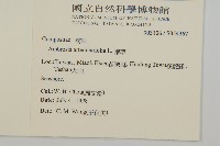 豬草、瘤果菊藏品圖，第2張