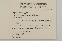 阿里山繁縷藏品圖，第2張