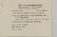 茯苓菜藏品圖，第2張