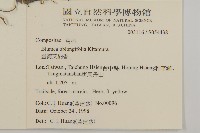 臺灣艾納香藏品圖，第2張