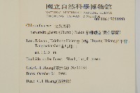草珊瑚、紅果金粟蘭藏品圖，第2張