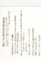 耿氏虎皮楠藏品圖，第2張