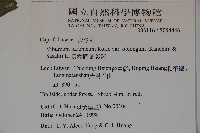 長橢圓葉莢迷藏品圖，第2張