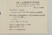 草珊瑚、紅果金粟蘭藏品圖，第2張