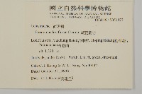 大丁黃藏品圖，第2張