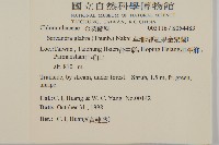 草珊瑚、紅果金粟蘭藏品圖，第2張